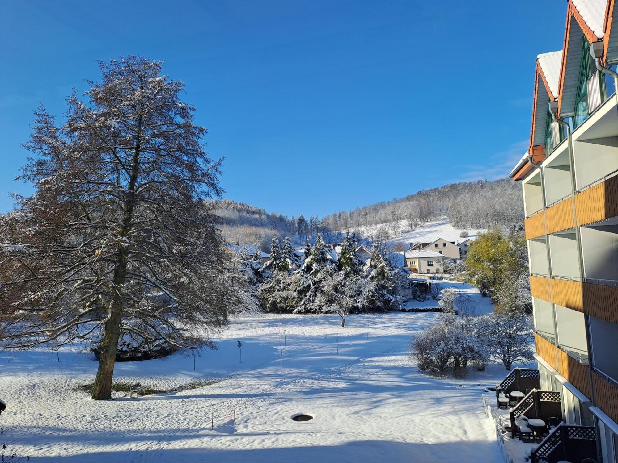 Waldhotel Baerenstein ฮอร์น-บาด-ไมน์แบร์ก ภายนอก รูปภาพ
